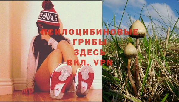 таблы Аркадак