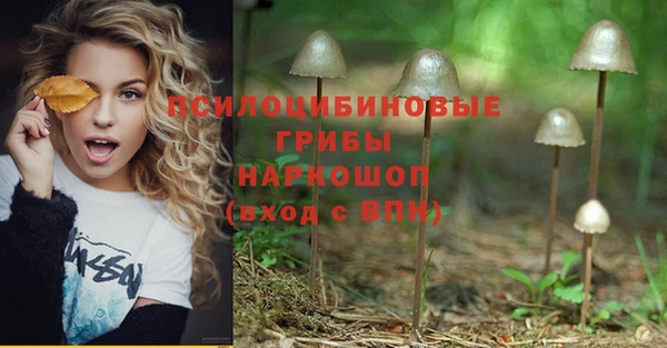 МДПВ Арсеньев
