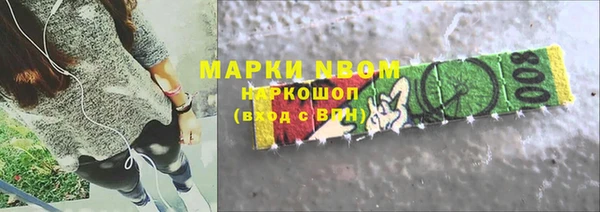 крисы Новозыбков